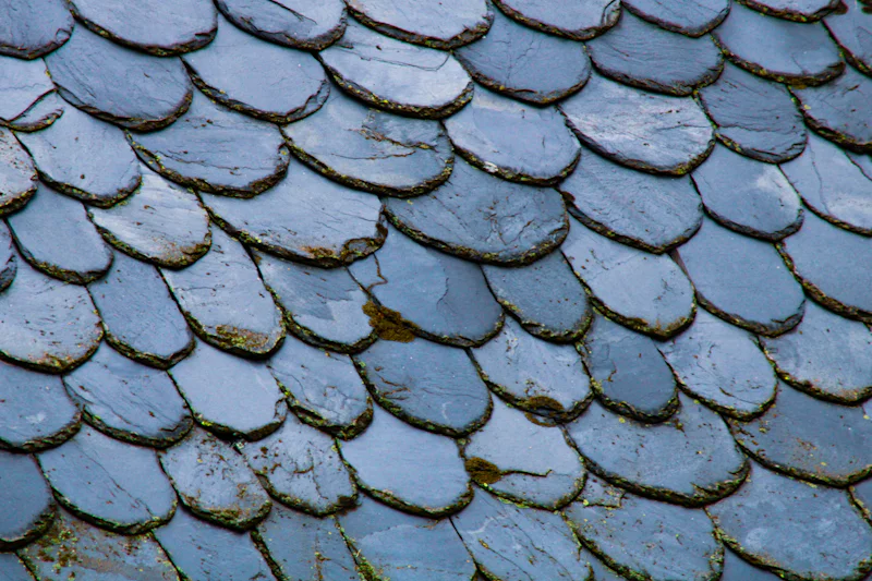 Close view of rounded slate tiles on an old roof